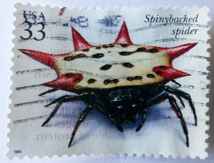 U.S. stamp: Spiny-backed Spider