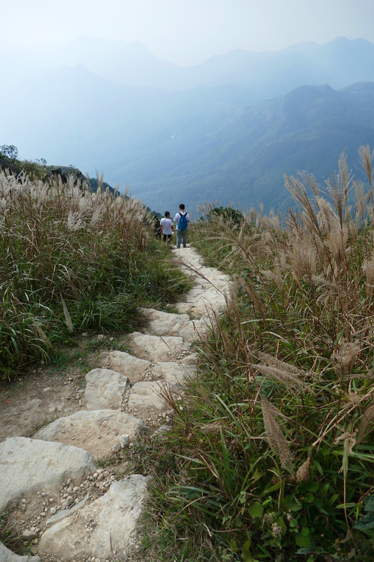 Looking down the steep trail at Lantau Peak*