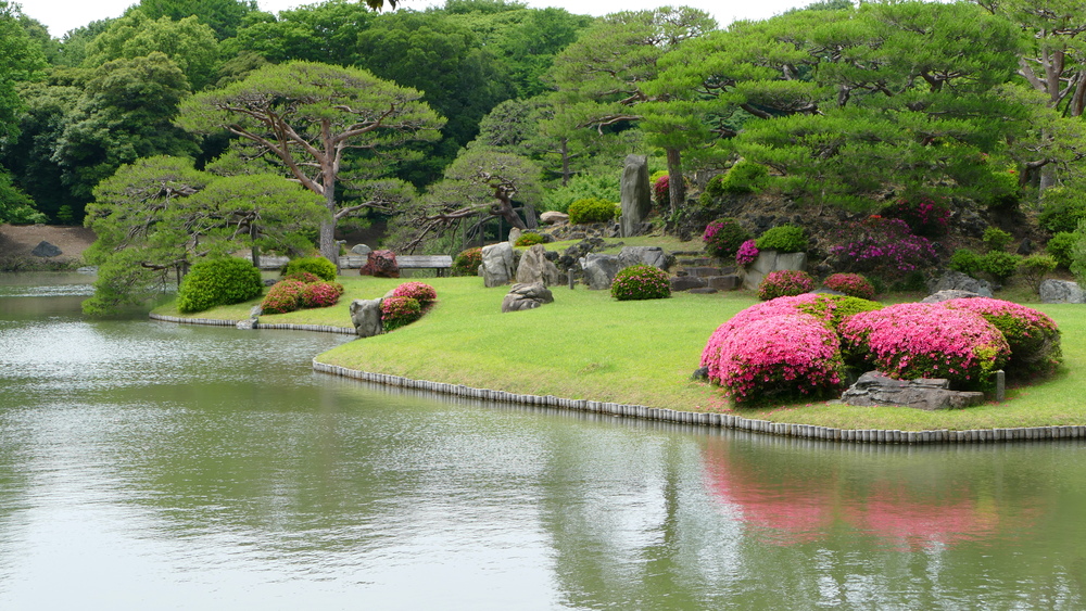 a beautiful small island in a garden pond with a lawn, trees, and azaleas