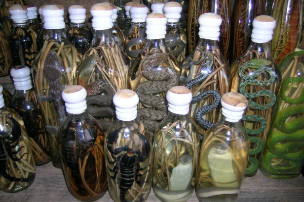 Lao-lao bottles with snakes and scorpions in them.