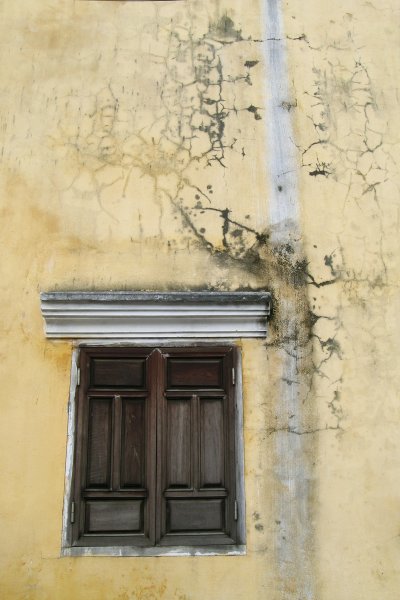 Moldy yellow wall and window