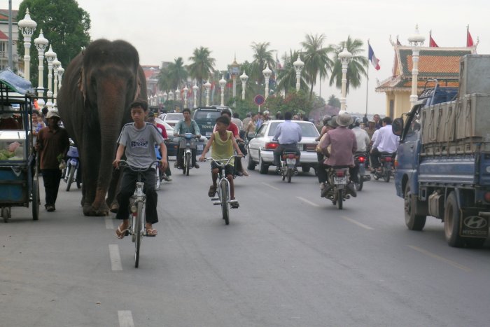 Image 20060317-PhnomPenhElephantInTraffic.web.jpg, size 67458 b
