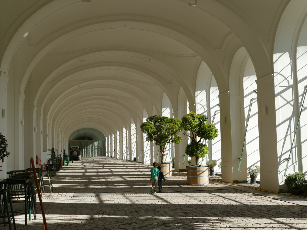 Two children dwarfed by two lonely potted trees in the immense well lit hallway of the Orangerie.